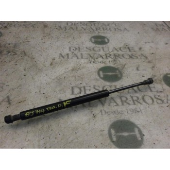 AMORTIGUADORES MALETERO / PORTON 51248254281 