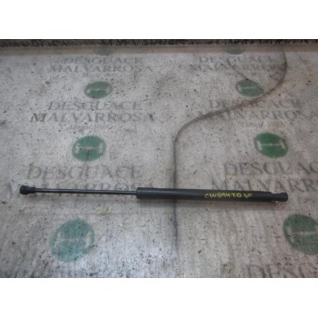 AMORTIGUADORES MALETERO / PORTON 1609616580 