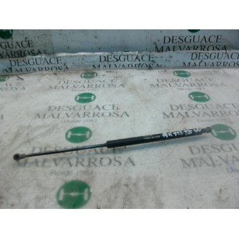 AMORTIGUADORES MALETERO / PORTON 