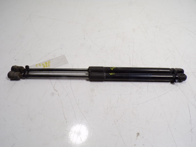 Recambio de amortiguador capot para bmw x6 (e71) 3.0d referencia OEM IAM 51237148346 51327148346 