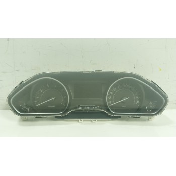 CUADRO INSTRUMENTOS 9813848780 981384878000 