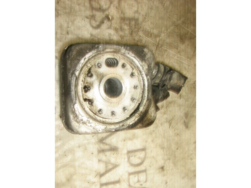 Recambio de enfriador aceite motor para seat ibiza (6l1) signo referencia OEM IAM   