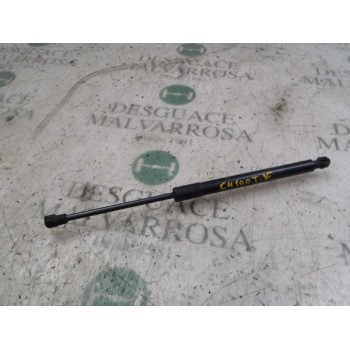 AMORTIGUADORES MALETERO / PORTON 