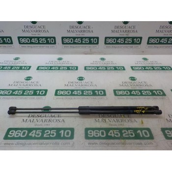 AMORTIGUADORES MALETERO / PORTON 13428038 