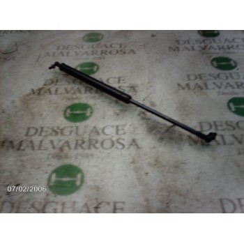 AMORTIGUADORES MALETERO / PORTON 