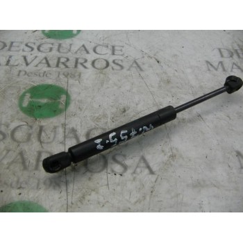 AMORTIGUADORES MALETERO / PORTON 