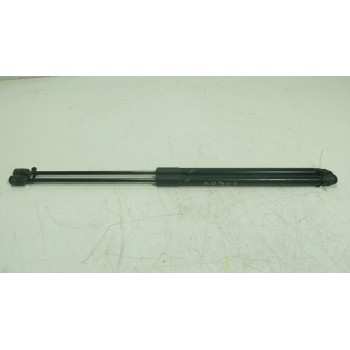 AMORTIGUADORES MALETERO / PORTON 2444429 H1BBA406A10AE 