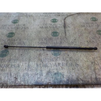 AMORTIGUADORES MALETERO / PORTON 