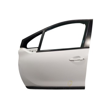 PUERTA DELANTERA IZQUIERDA 9807820480 