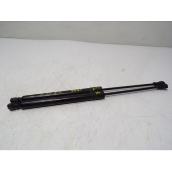 AMORTIGUADORES MALETERO / PORTON 844301324R 844301324R 