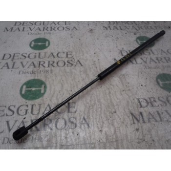 AMORTIGUADORES MALETERO / PORTON 1354844080 