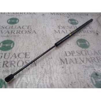 AMORTIGUADORES MALETERO / PORTON 1354844080 