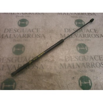 AMORTIGUADORES MALETERO / PORTON 