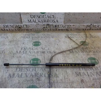 AMORTIGUADORES MALETERO / PORTON 1666068 