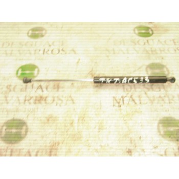 AMORTIGUADORES MALETERO / PORTON 