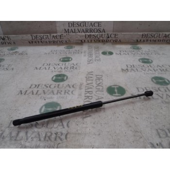 AMORTIGUADORES MALETERO / PORTON 