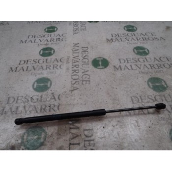 AMORTIGUADORES MALETERO / PORTON 