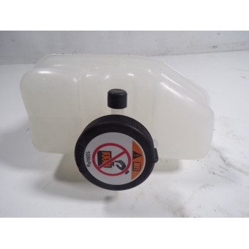 DEPOSITO EXPANSION G910G42010 