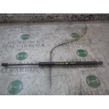 AMORTIGUADORES MALETERO / PORTON 