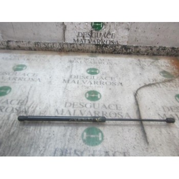 AMORTIGUADORES MALETERO / PORTON 