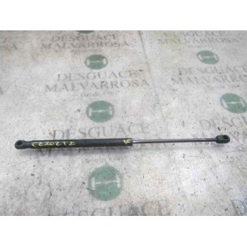 AMORTIGUADORES MALETERO / PORTON 