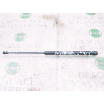 AMORTIGUADORES MALETERO / PORTON 