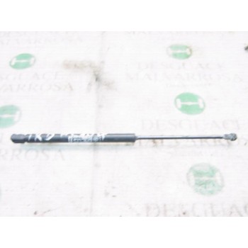 AMORTIGUADORES MALETERO / PORTON 