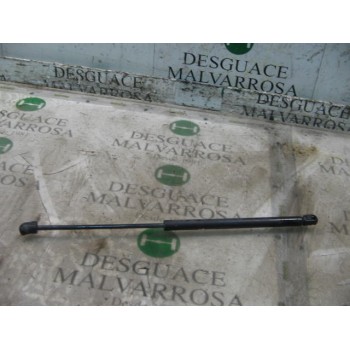 AMORTIGUADORES MALETERO / PORTON 