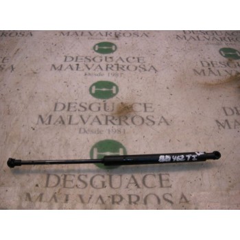 AMORTIGUADORES MALETERO / PORTON 