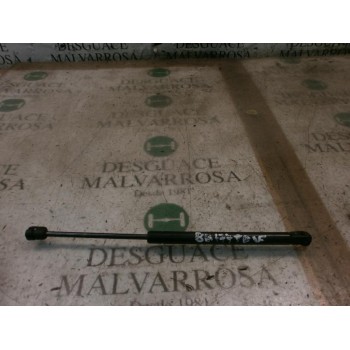 AMORTIGUADORES MALETERO / PORTON 