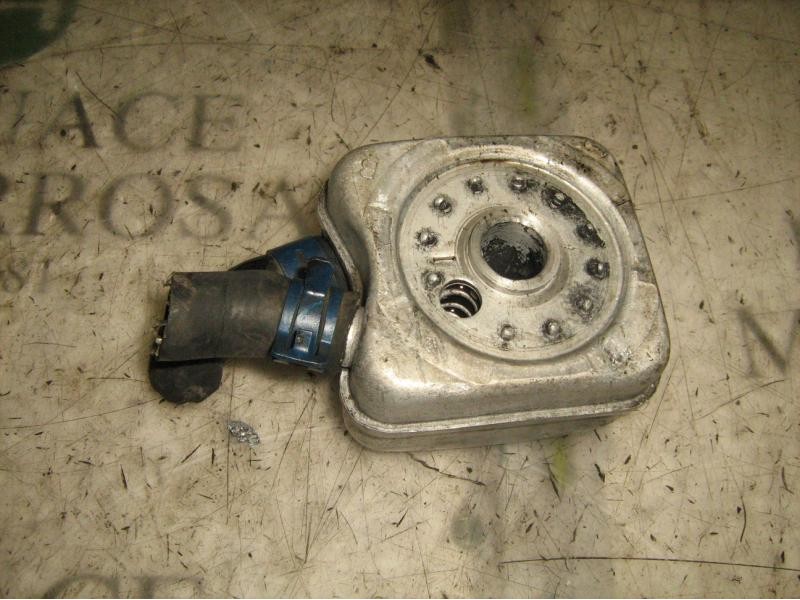 Recambio de enfriador aceite motor para volkswagen passat berlina (312) referencia OEM IAM   