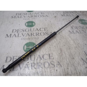 AMORTIGUADORES MALETERO / PORTON 8731N8 