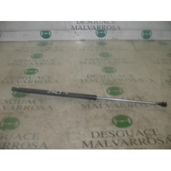 AMORTIGUADORES MALETERO / PORTON 