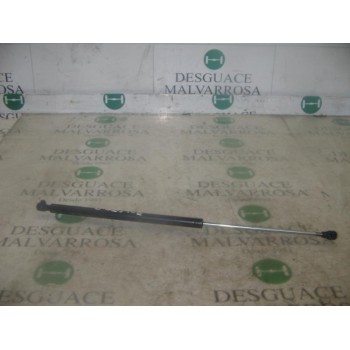 AMORTIGUADORES MALETERO / PORTON 