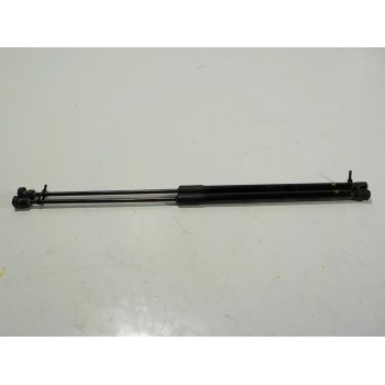 AMORTIGUADORES MALETERO / PORTON 13428038 7337550260N 