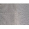 Recambio de techo electrico para porsche cayenne (92a) 4.8 turbo referencia OEM IAM   
