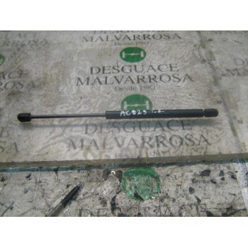 AMORTIGUADORES MALETERO / PORTON 