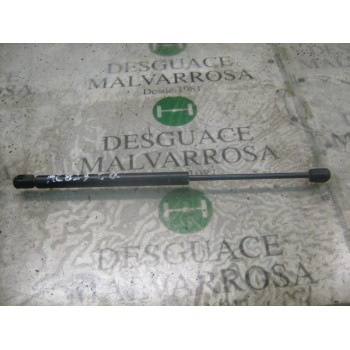 AMORTIGUADORES MALETERO / PORTON 