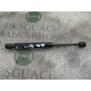 AMORTIGUADORES MALETERO / PORTON 