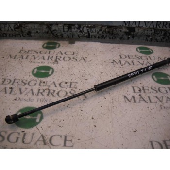 AMORTIGUADORES MALETERO / PORTON 