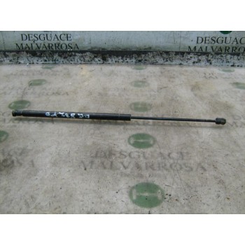 AMORTIGUADORES MALETERO / PORTON 