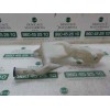 Recambio de deposito limpia para ford fiesta (cb1) 1.6 tdci cat referencia OEM IAM 1764300  