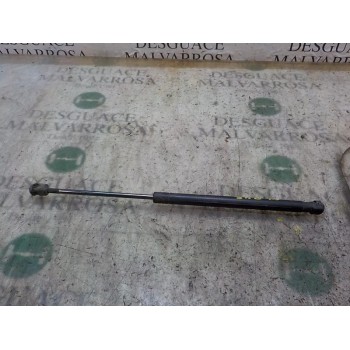 AMORTIGUADORES MALETERO / PORTON 