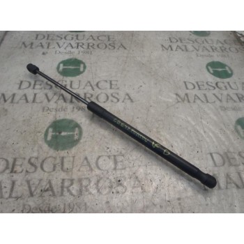 AMORTIGUADORES MALETERO / PORTON 