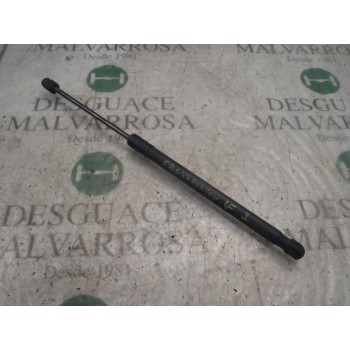 AMORTIGUADORES MALETERO / PORTON 