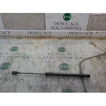 AMORTIGUADORES MALETERO / PORTON 