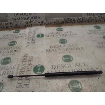 BOMBIN PORTON TRASERO 