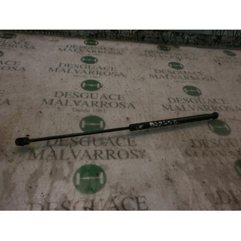 AMORTIGUADORES MALETERO / PORTON 