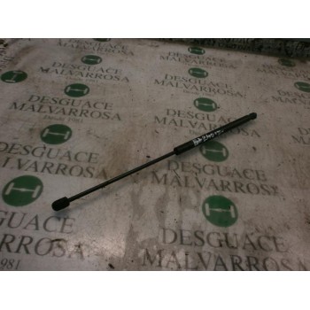 AMORTIGUADORES MALETERO / PORTON 