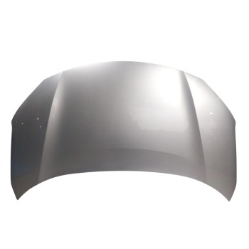 CAPOT DELANTERO 53301K2010 